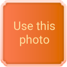 Use this photo
